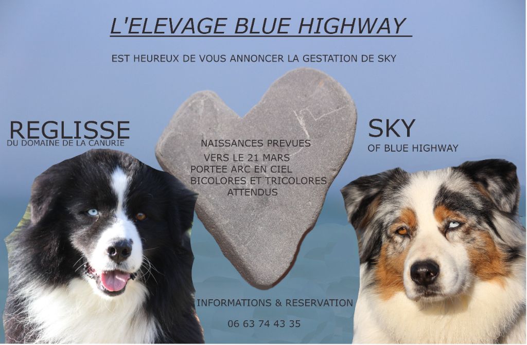 Of Blue Highway - saillie    Sky x Reglisse 