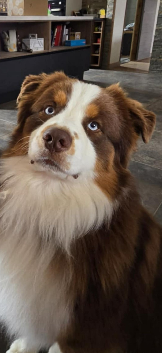 VOICE IN THE DARK Of Blue Highway